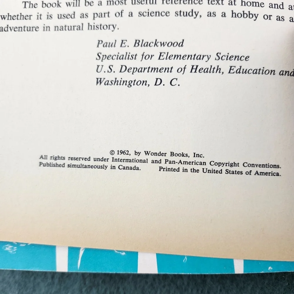 The How‎ and Why Wonder Book of Wild Flowers 1962 Vintage Children's Book